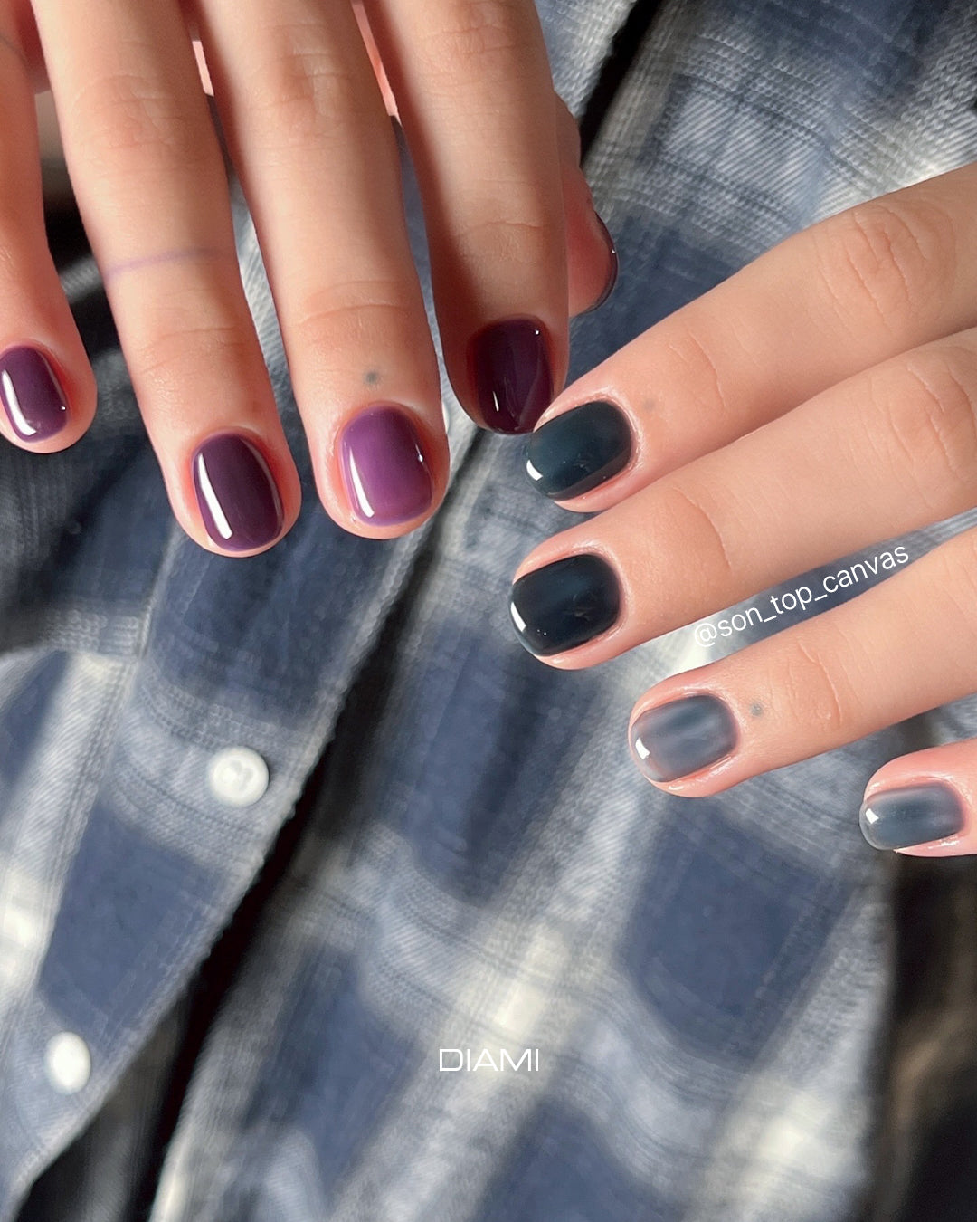 Tint Delight Fall In - 7-color set