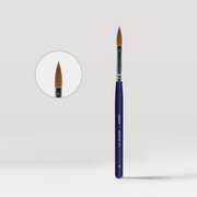 Acrylic Brush - Overlay Brush #8