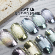SHINEasy Special CAT:MI Mirror Powder 5-color set
